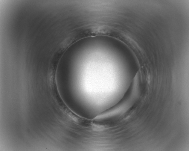 X0000069840513200605191209