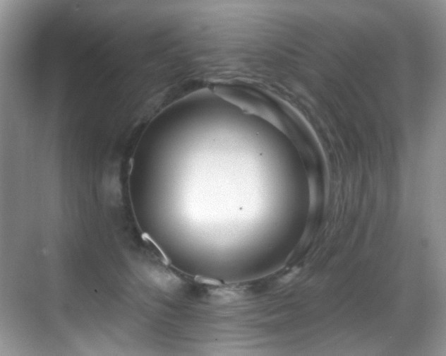 X0000069840516200605191209