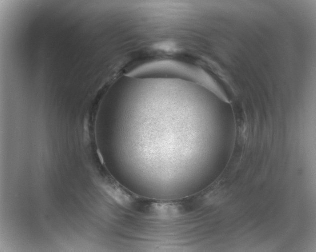 X0000069840520200605191209