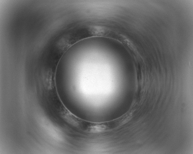X0000069840525200605191209