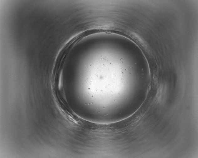 X0000069840532200605191208