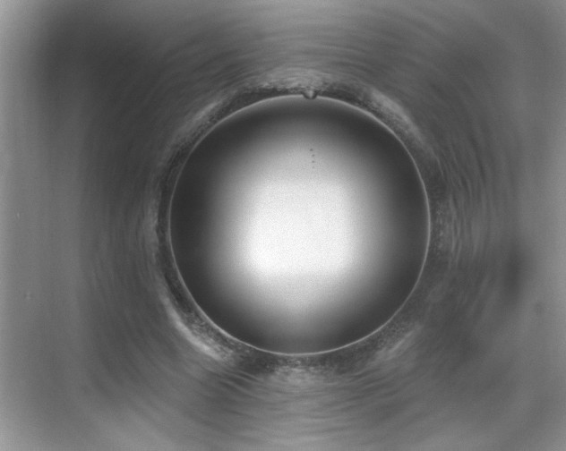 X0000069840538200605191208