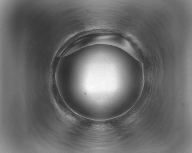 X0000069840540200605191208