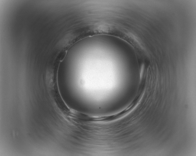 X0000069840548200605191208