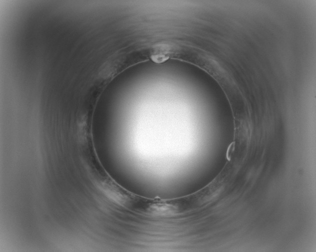 X0000069840557200605191208