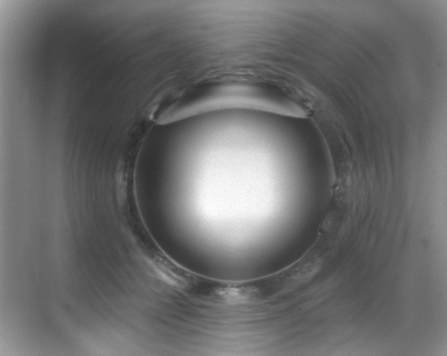 X0000069840558200605191208
