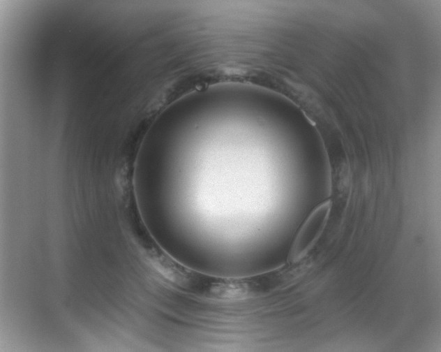 X0000069840559200605191208
