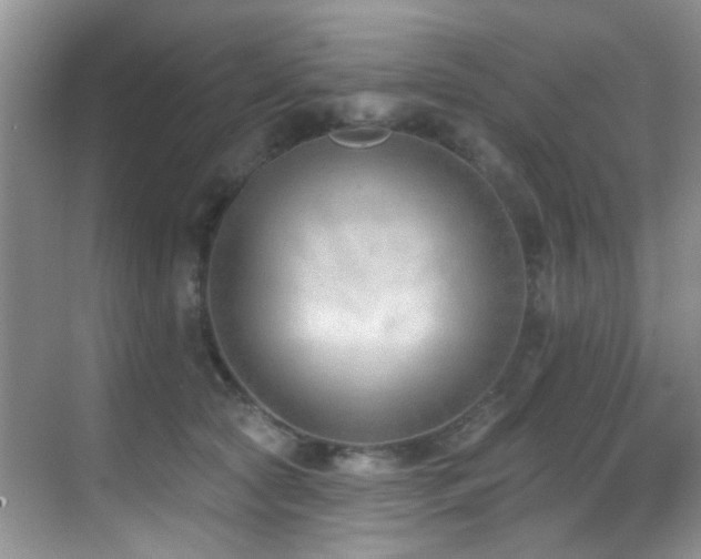 X0000069840561200605191208