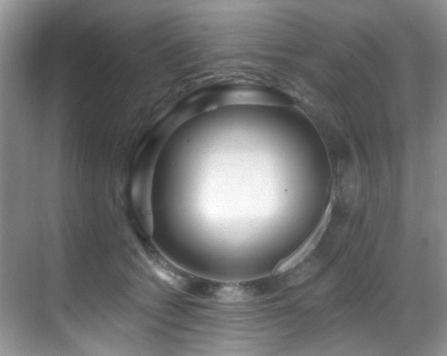 X0000069840562200605191208