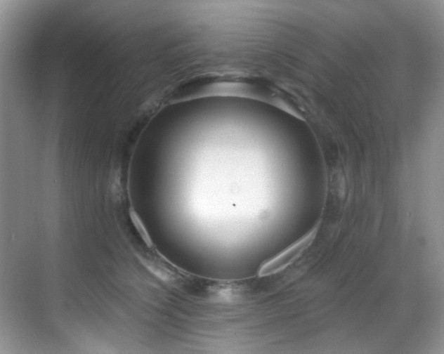 X0000069840564200605191208