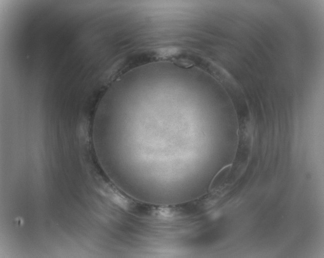 X0000069840565200605191208