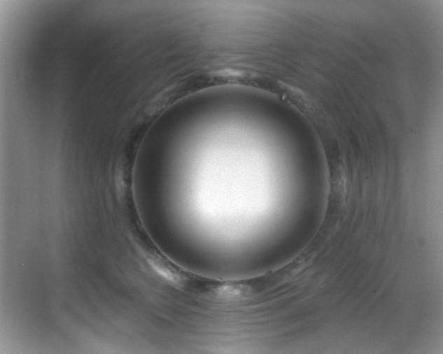 X0000069840566200605191209
