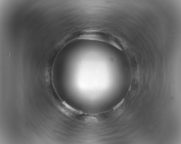 X0000069840572200605191209