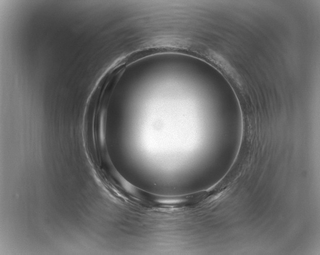 X0000069840580200605191208