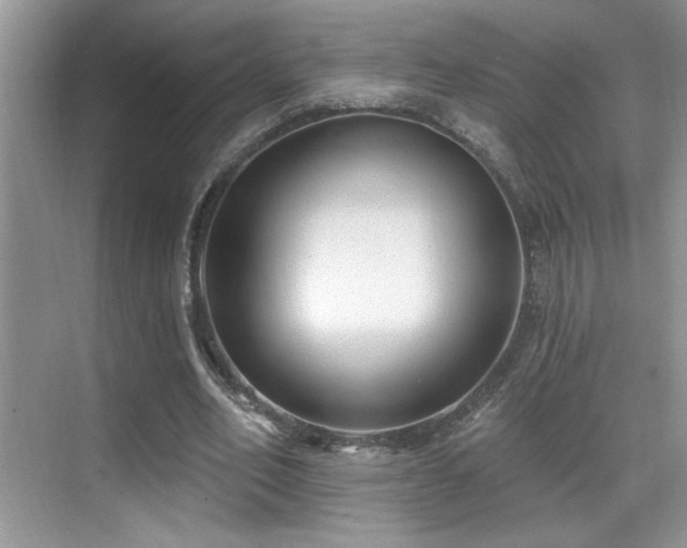 X0000069840582200605191208