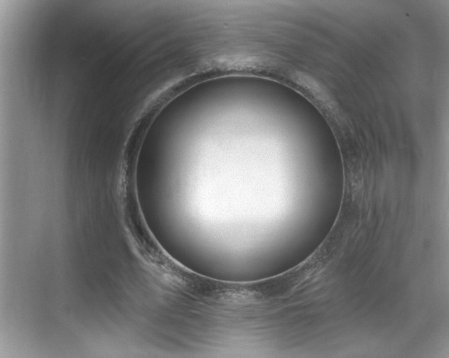 X0000069840583200605191208