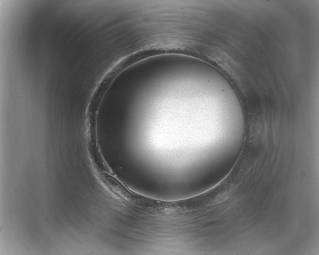 X0000069840584200605191208