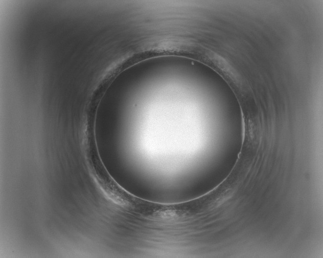 X0000069840588200605191208