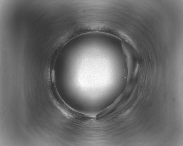 X0000069840589200605191208