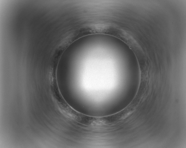 X0000069840599200605191208
