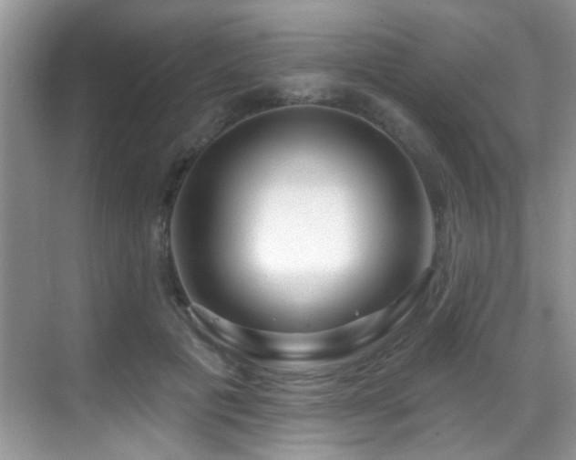 X0000069840601200605191207
