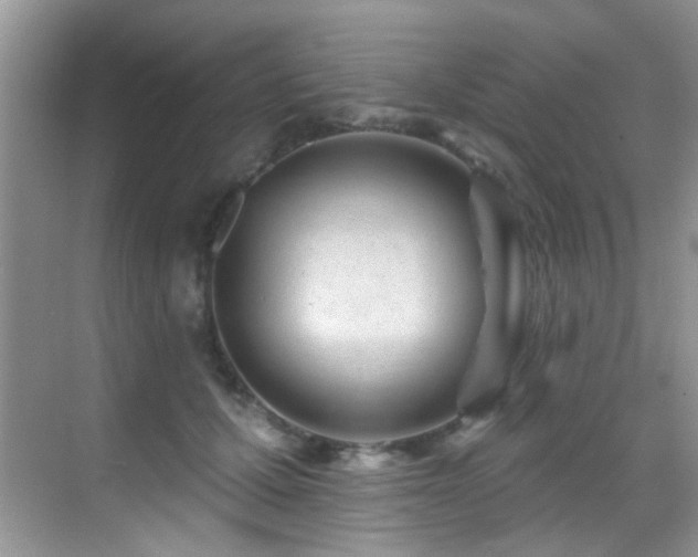 X0000069840607200605191207