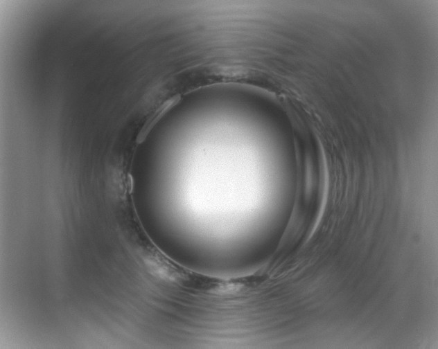 X0000069840609200605191207