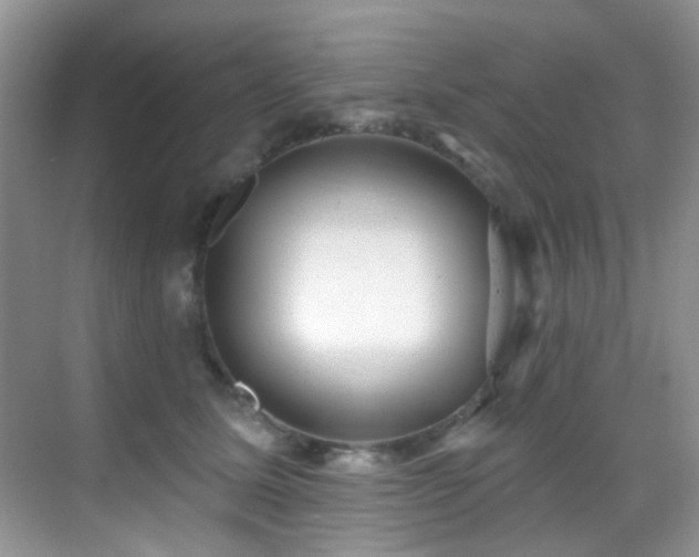X0000069840611200605191207