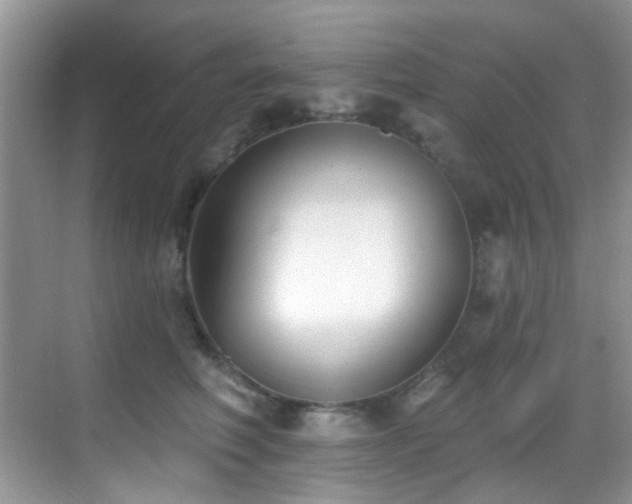 X0000069840614200605191207