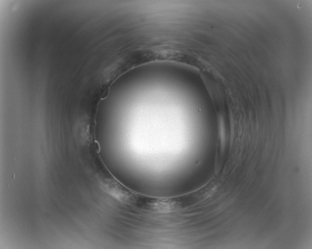 X0000069840615200605191207