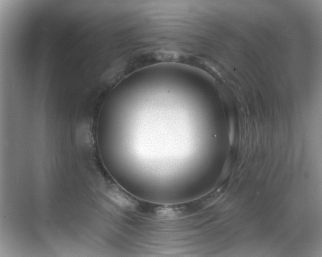 X0000069840616200605191207