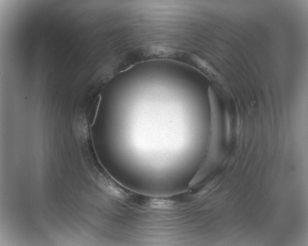 X0000069840617200605191207