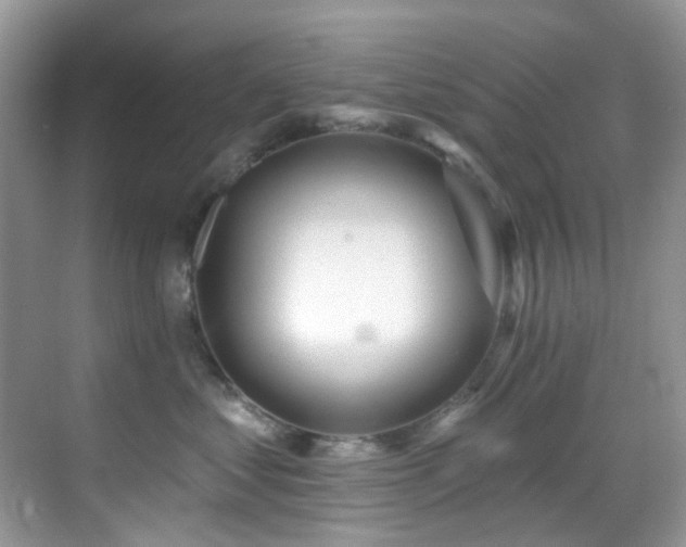 X0000069840621200605191207