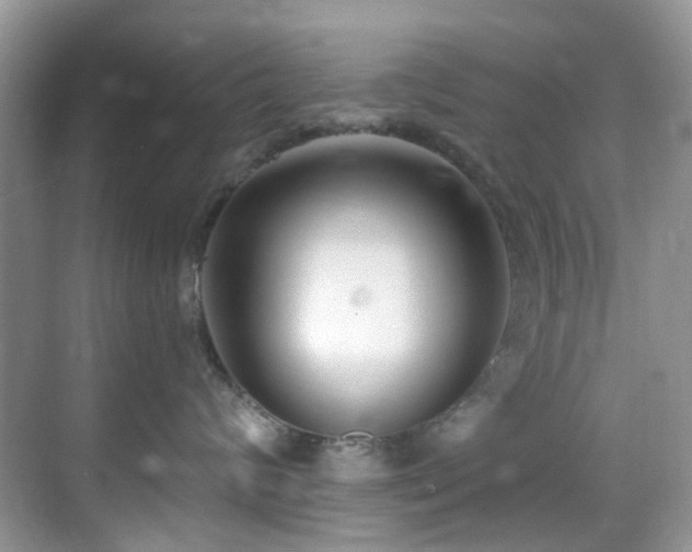 X0000069840624200605191207