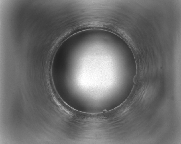 X0000069840625200605191206