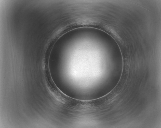 X0000069840631200605191206