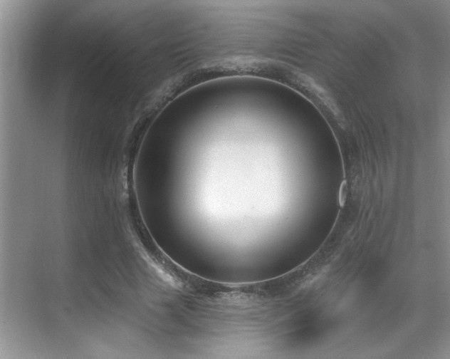 X0000069840633200605191206