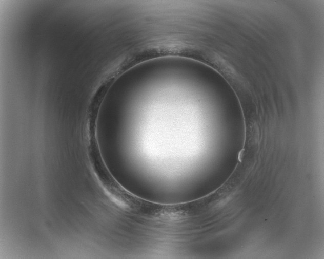 X0000069840638200605191206