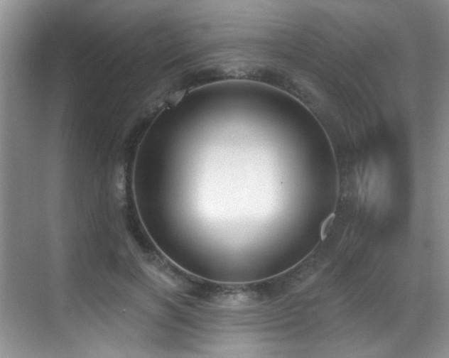 X0000069840646200605191207