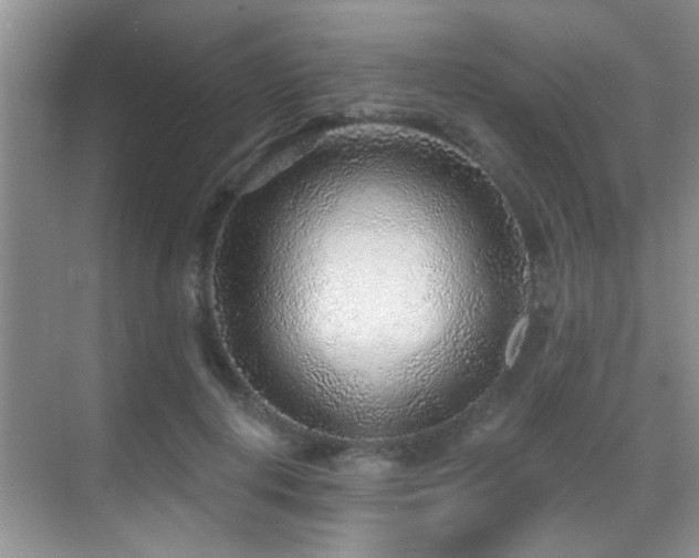 X0000069840648200605191207