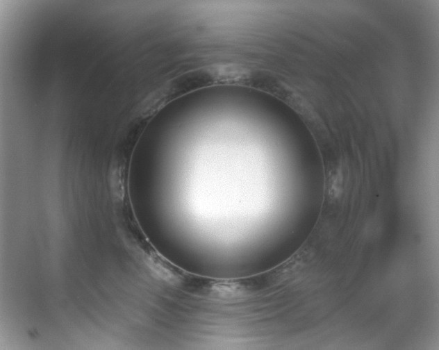 X0000069840666200605191207