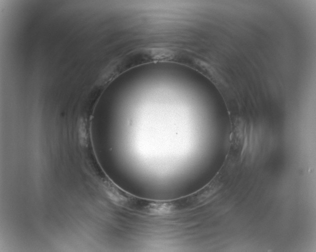 X0000069840667200605191207