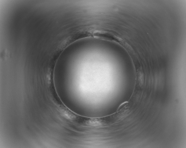 X0000069840668200605191207
