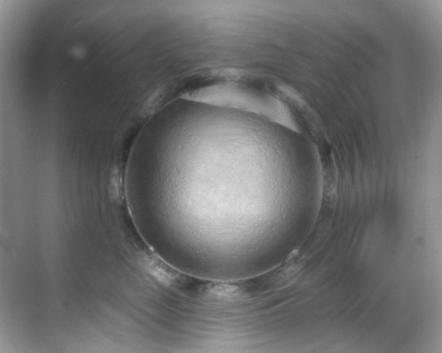 X0000069840669200605191207