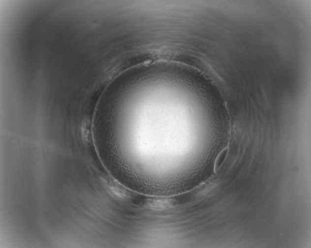 X0000069840671200605191207