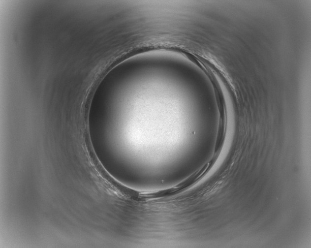 X0000069840673200605191206