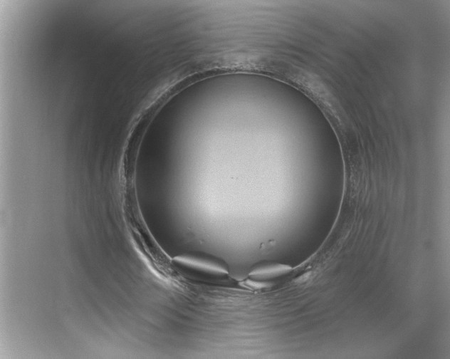 X0000069840674200605191206