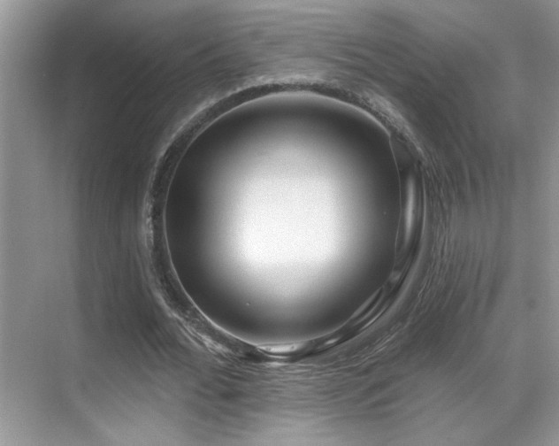 X0000069840676200605191206