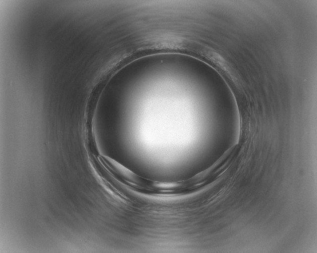 X0000069840677200605191206