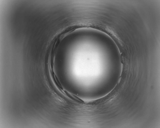 X0000069840681200605191206